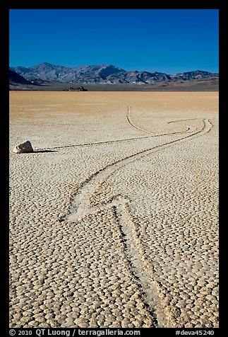 Zig-zagging track and sailing stone, the Racetrack playa. Death Valley National Park, California, USA.