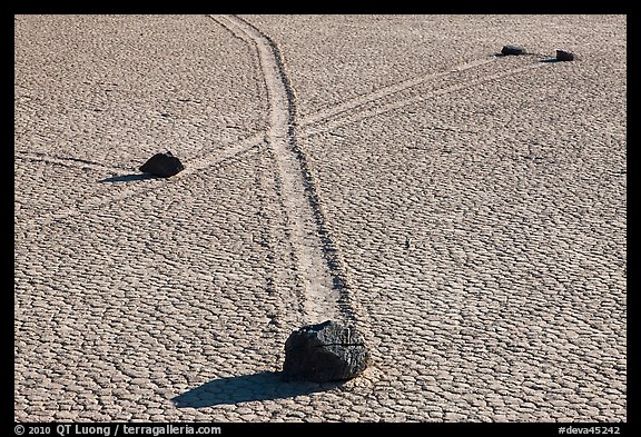 Intersecting travel grooves of sliding stones, the Racetrack. Death Valley National Park, California, USA.