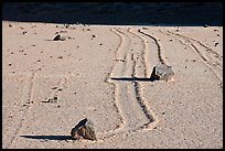 Gliding stones, the Racetrack playa. Death Valley National Park ( color)