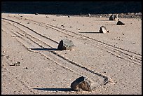 Gliding rocks and trails the Racetrack playa. Death Valley National Park, California, USA.