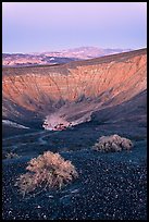 Sagebrush and Ubehebe Crater at dusk. Death Valley National Park, California, USA.