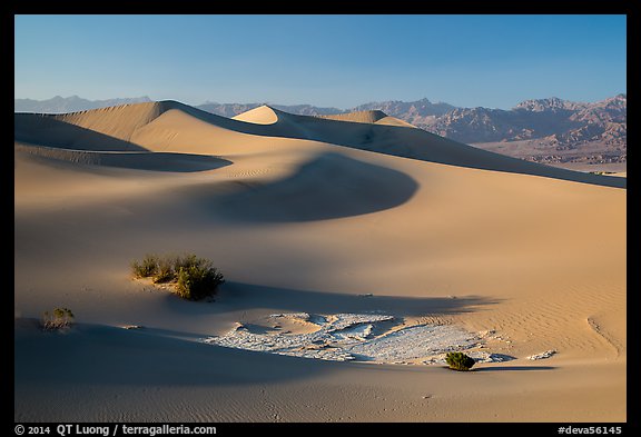Dunes, mesquite, dried mud, Amargosa Range. Death Valley National Park (color)