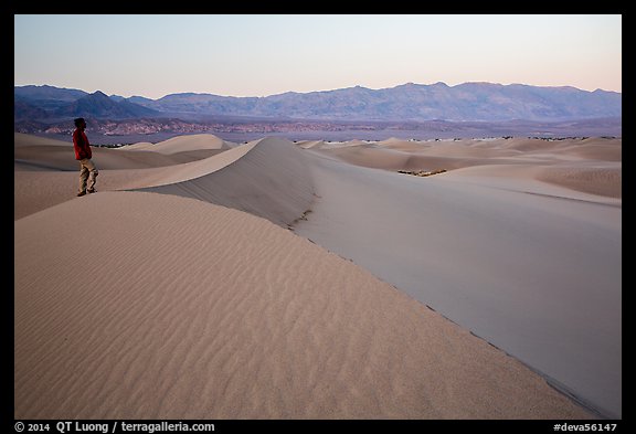 Park visitor looking, Mesquite Sand Dunes. Death Valley National Park, California, USA.