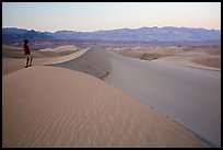 Park visitor looking, Mesquite Sand Dunes. Death Valley National Park, California, USA.