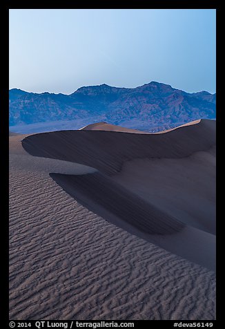 Sand dunes and Amargosa Range at dusk. Death Valley National Park (color)