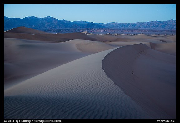 Dusk over the Mesquite Sand dunes. Death Valley National Park (color)