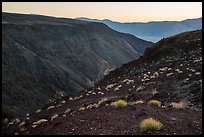 View from Father Crowley Viewpoint at sunrise. Death Valley National Park ( color)