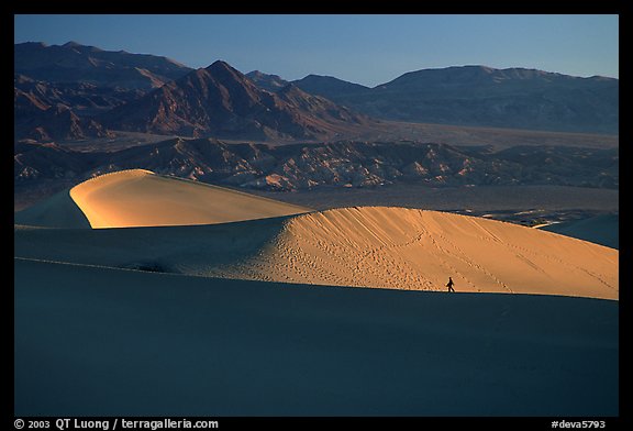 Hiker on ridge, Mesquite Dunes, sunrise. Death Valley National Park (color)