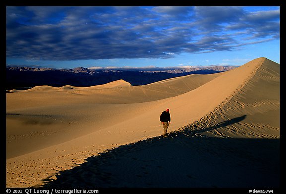 Hiking towards tall dune, the Mesquite Dunes, sunrise. Death Valley National Park, California, USA.