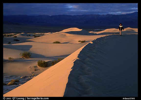 Hiker on a ridge in the Mesquite Dunes, sunrise. Death Valley National Park (color)