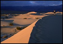 Hiker on a ridge in the Mesquite Dunes, sunrise. Death Valley National Park, California, USA.