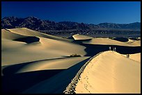 Dune field with hikers, Mesquite Dunes. Death Valley National Park ( color)