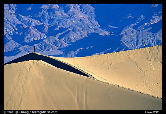 Hiker on sand dunes. Death Valley National Park, California, USA.