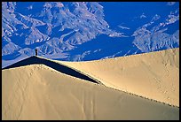 Hiker on sand dunes. Death Valley National Park ( color)