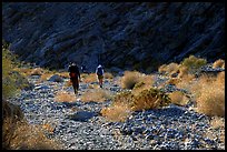 Hikers in a side canyon. Death Valley National Park, California, USA.