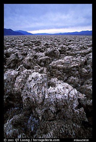 Salt formations at Devil's Golf Course. Death Valley National Park, California, USA.