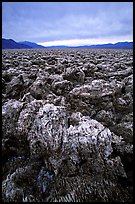 Salt formations at Devil's Golf Course. Death Valley National Park, California, USA.