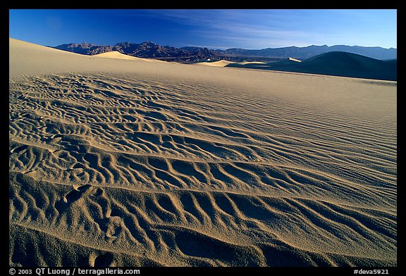 Ripples on Mesquite Dunes, early morning. Death Valley National Park, California, USA.