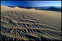 Ripples on Mesquite Dunes, early morning. Death Valley National Park, California, USA.