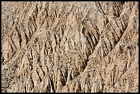 Eroded gullies near Emigrant Pass. Death Valley National Park ( color)