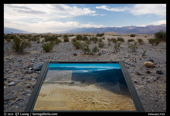 Sand Dunes Interpretive sign. Death Valley National Park (color)