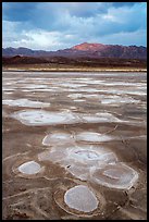 Salt evaporation patterns and Funeral Mountains at sunset, Cottonball Basin. Death Valley National Park ( color)