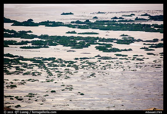 Main valley floor vegetation from above. Death Valley National Park (color)