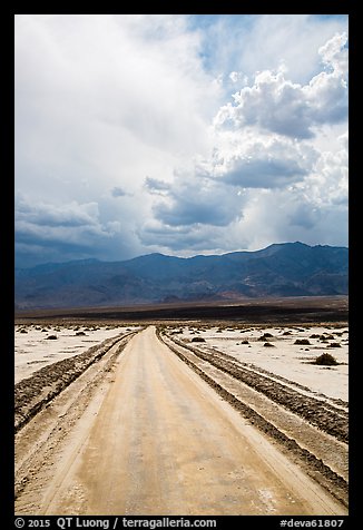 Road crossing Salt Pan. Death Valley National Park (color)