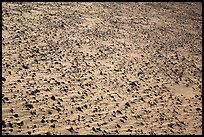 Ground covered with small sharp rock. Death Valley National Park ( color)