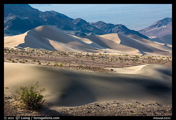 Shrubs, Ibex sand dunes, and mountains. Death Valley National Park (color)