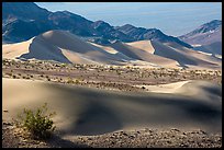 Shrubs, Ibex sand dunes, and mountains. Death Valley National Park ( color)