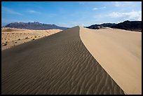 Dune ridge and ripples, Ibex Dunes. Death Valley National Park ( color)