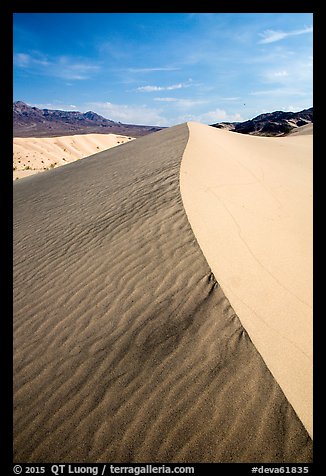 Ibex Sand Dune ridge and ripples. Death Valley National Park (color)