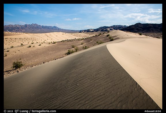 Ibex Dunes and Ibex Hills. Death Valley National Park (color)