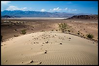 Ibex Dunes and valley. Death Valley National Park ( color)