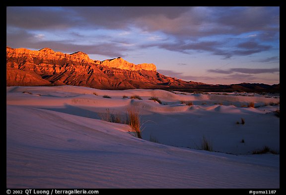 Salt Basin dunes and Guadalupe range at sunset. Guadalupe Mountains National Park (color)