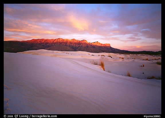 Salt Basin dunes and Guadalupe range at sunset. Guadalupe Mountains National Park, Texas, USA.