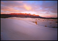 Salt Basin dunes and Guadalupe range at sunset. Guadalupe Mountains National Park ( color)