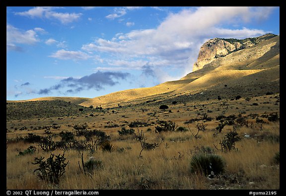 Flats and El Capitan, early morning. Guadalupe Mountains National Park, Texas, USA.
