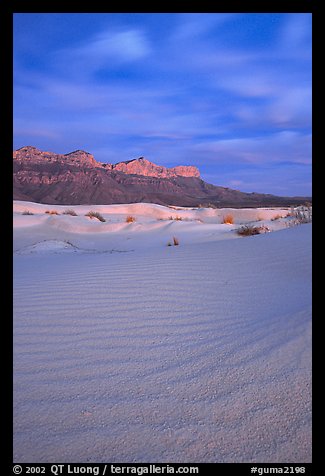 Gypsum sand dunes and Guadalupe range at sunset. Guadalupe Mountains National Park (color)