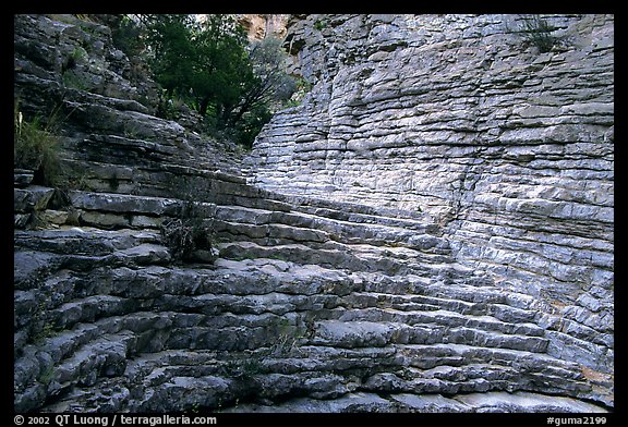 Hiker's Staircase, Pine Spring Canyon. Guadalupe Mountains National Park, Texas, USA.