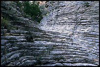Hiker's Staircase, Pine Spring Canyon. Guadalupe Mountains National Park ( color)