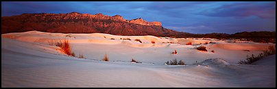 Salt Basin gypsum dunes and Guadalupe range. Guadalupe Mountains National Park (Panoramic color)