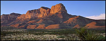 El Capitan cliffs at sunset. Guadalupe Mountains National Park (Panoramic color)