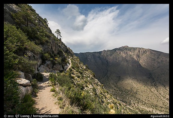 Guadalupe Peak Trail. Guadalupe Mountains National Park (color)