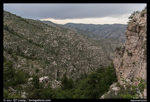 Cliffs and forested slopes, approaching storm. Guadalupe Mountains National Park, Texas, USA.