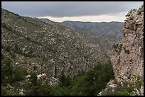 Cliffs and forested slopes, approaching storm. Guadalupe Mountains National Park, Texas, USA. (color)