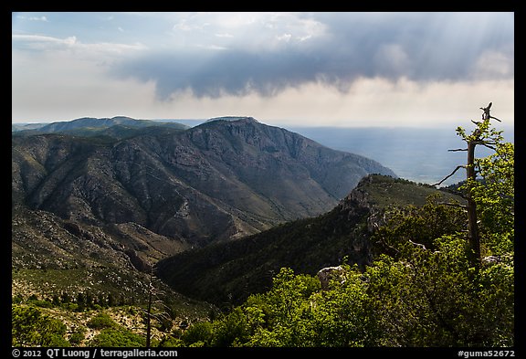 Mountain view with Hunter Peak and Pine Spring Canyon. Guadalupe Mountains National Park (color)