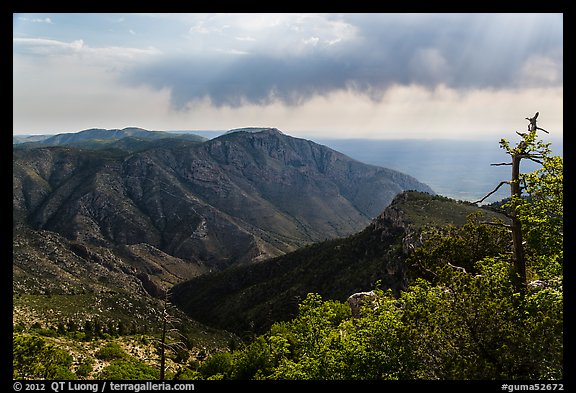 Mountain view with Hunter Peak and Pine Spring Canyon. Guadalupe Mountains National Park, Texas, USA.