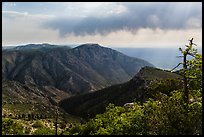 Mountain view with Hunter Peak and Pine Spring Canyon. Guadalupe Mountains National Park, Texas, USA. (color)